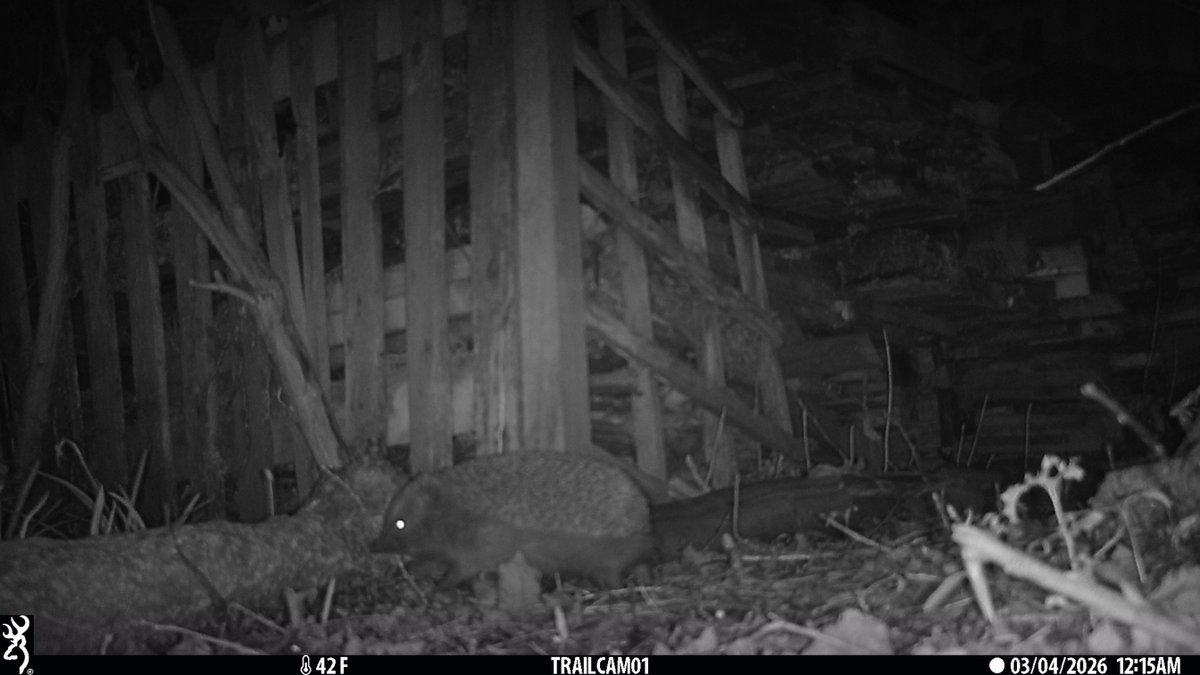 David Turner tweet media