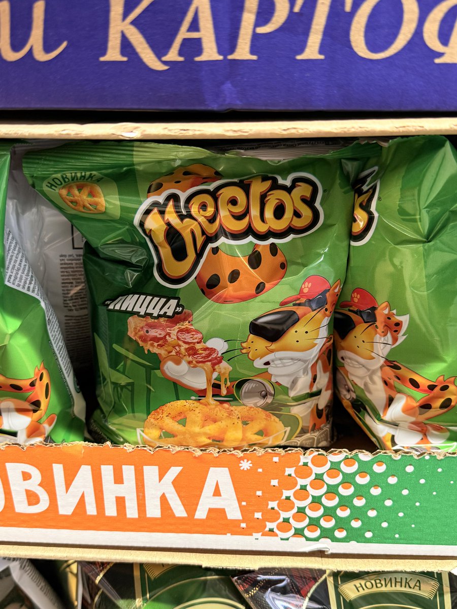 Nekophoenix tweet media