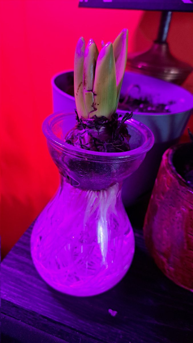 ☠𝕴𝖓𝖐𝖊𝖉 𝕯𝖊𝖛𝖎𝖆𝖓𝖙☠ tweet media