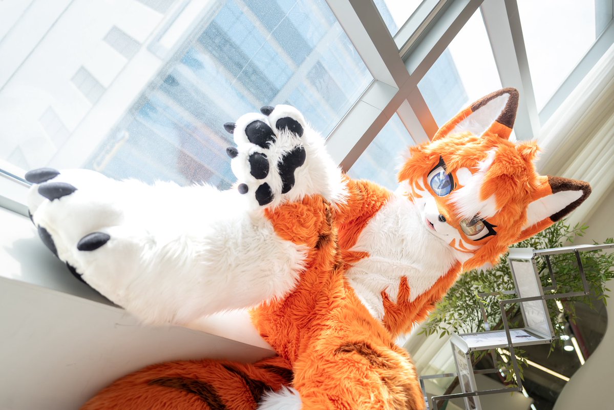 #FursuitEveryday #Fursuit
Take My Hand!✨
📸: <a href="/Satohuki/">후키</a>