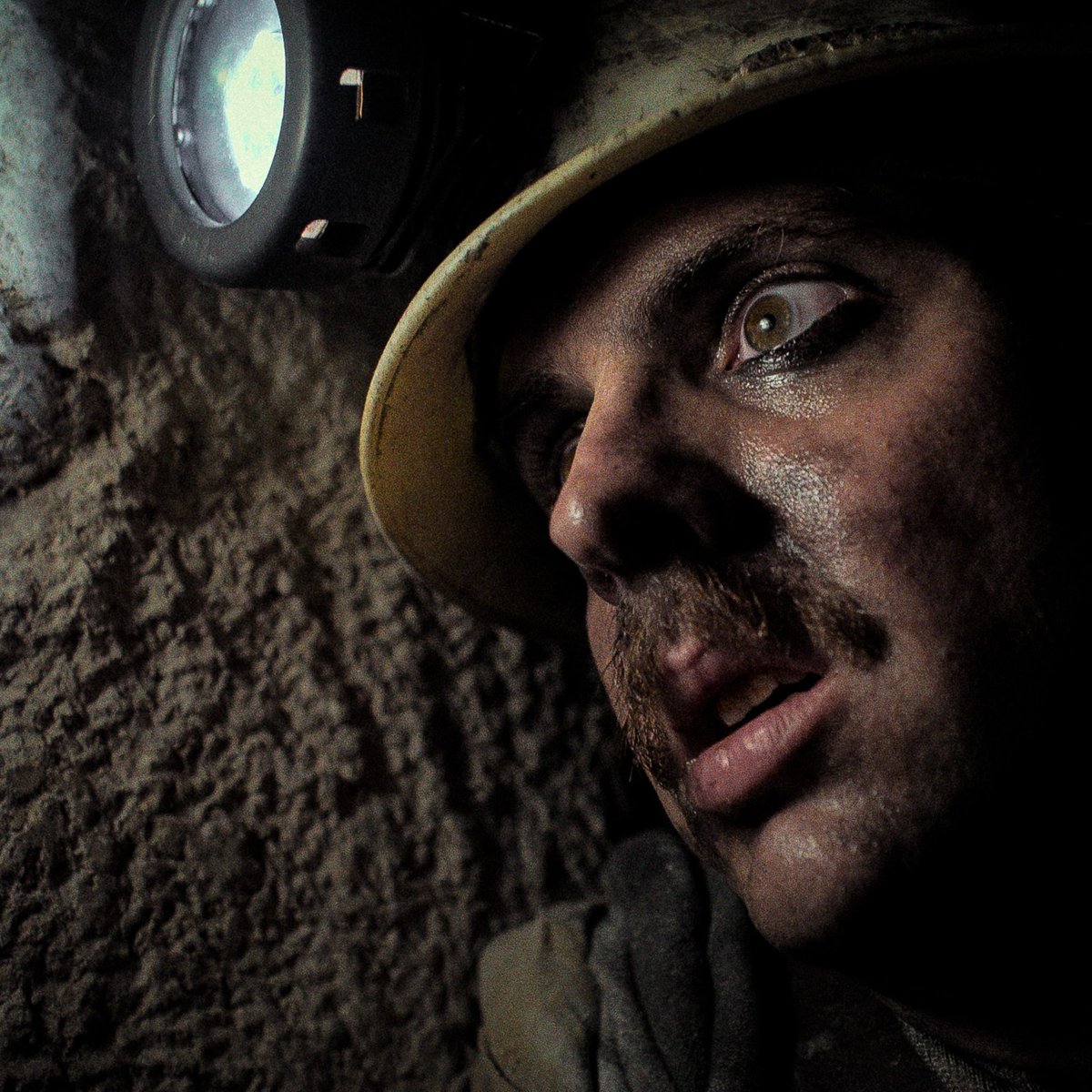 4Digital Media tweet media