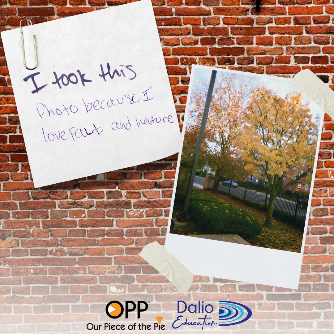 DalioEducation's tweet photo. One of the Our Piece of the Pie students used their opportunity with a disposable camera to highlight the season that brings them the most joy: fall! Read more about how OPP helps students recognize what brings them joy to help empower them to build a path towards success here: https://t.co/4t9fcxgkkG