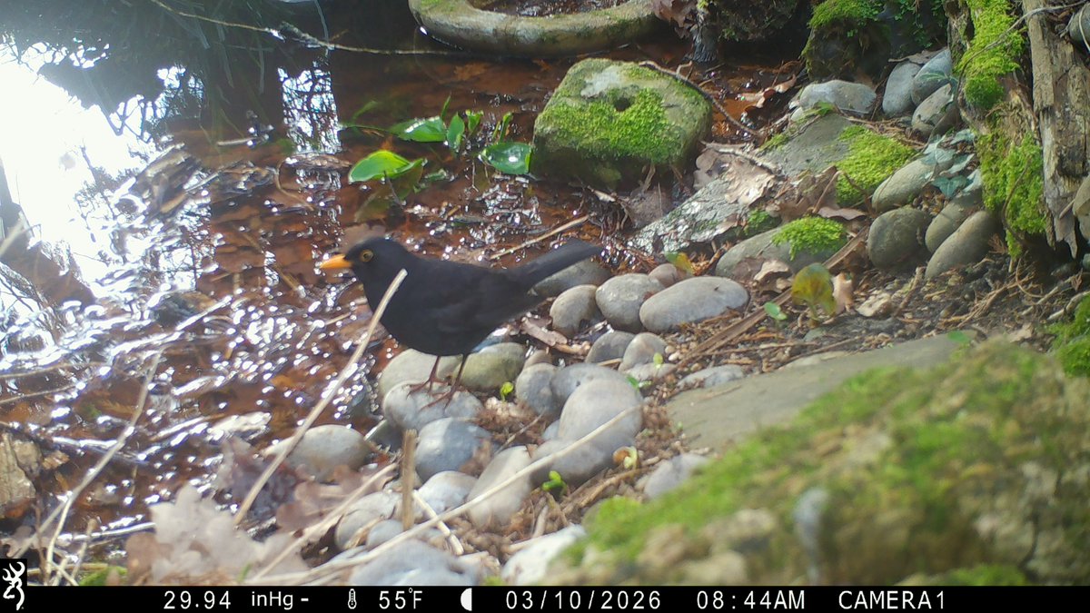 David Turner tweet media