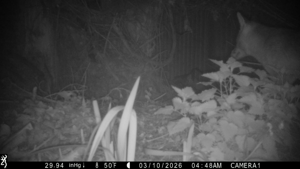 David Turner tweet media