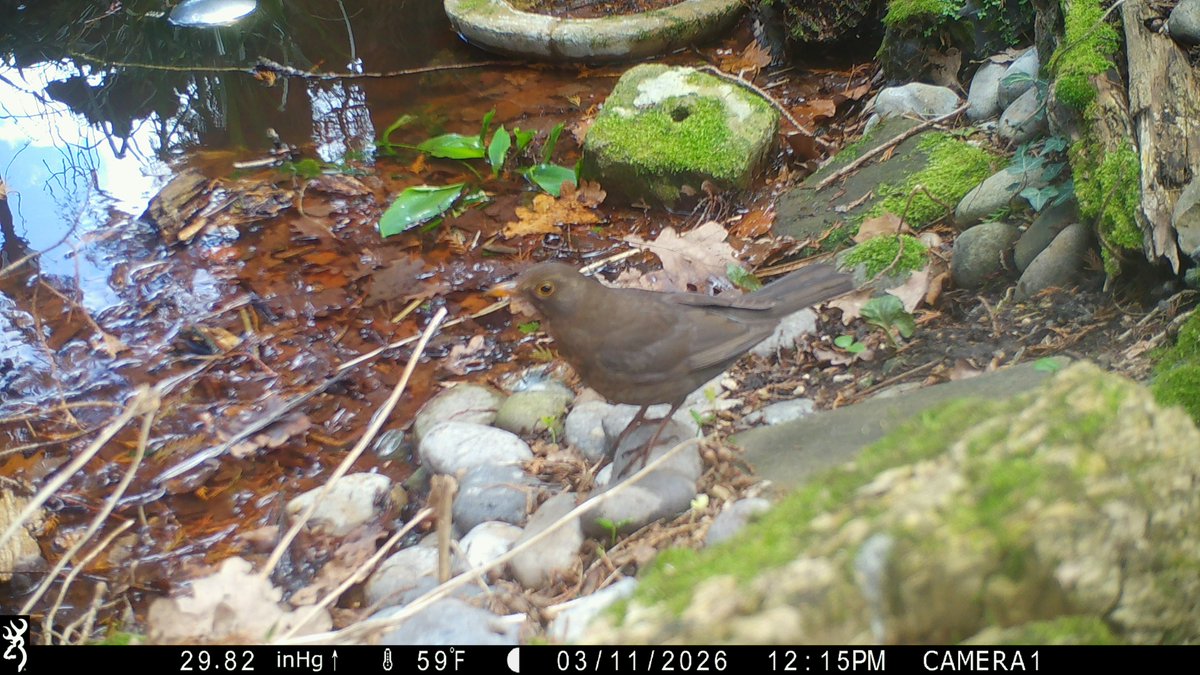 David Turner tweet media