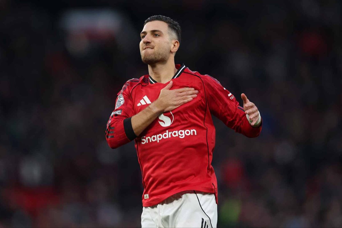 RedDevils_PL tweet media