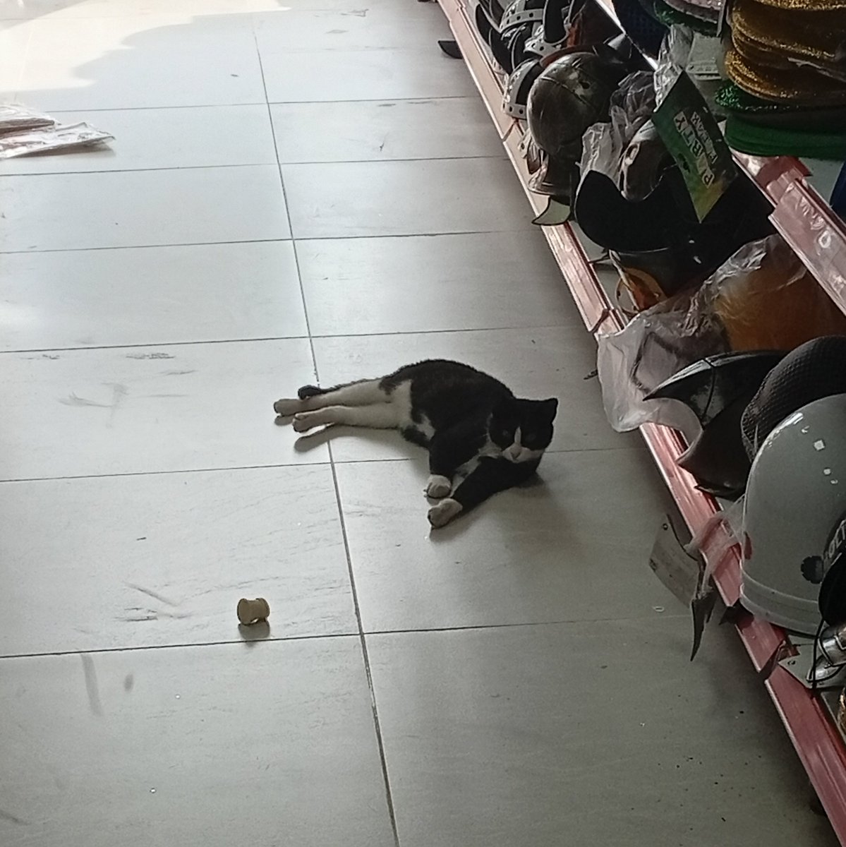 lovely mess tweet media