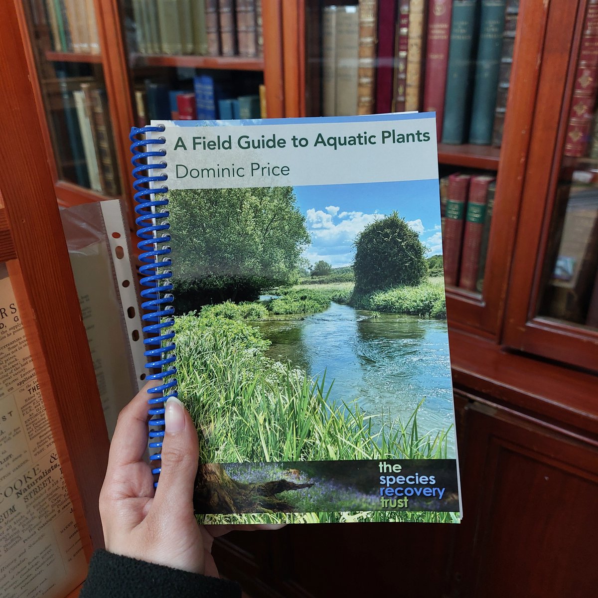 Pemberley Natural History Books tweet media