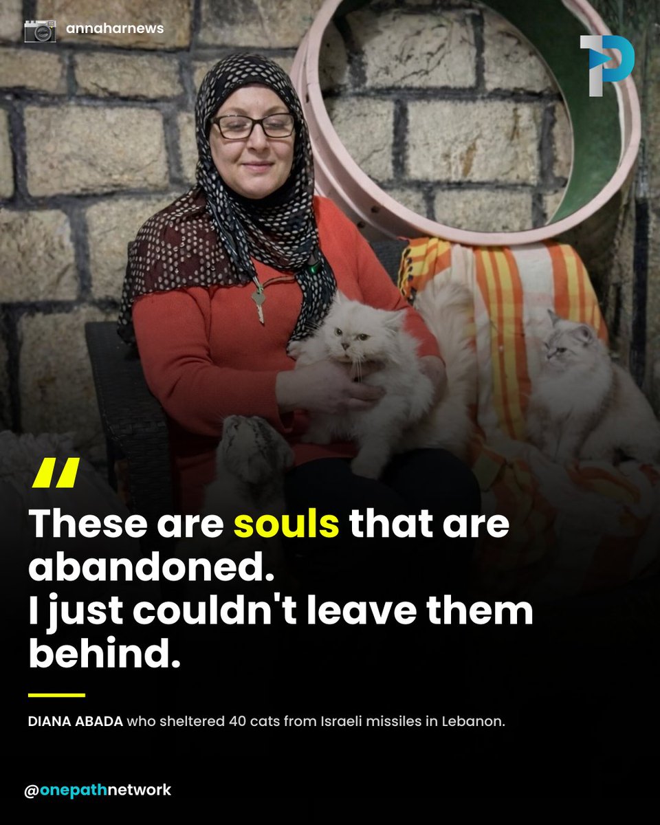 OnePath Network tweet media