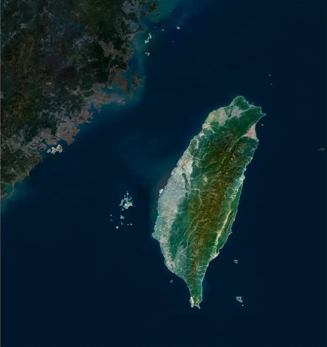 Lord Bebo tweet media