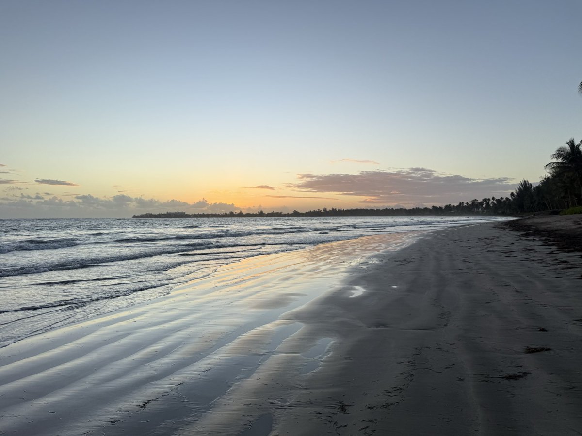 TainoNFT🇵🇷🪦 tweet media