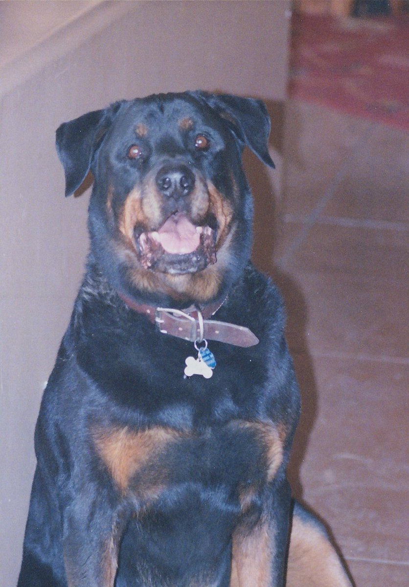 Max Middendorf tweet media