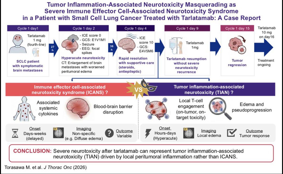 Masahiro TORASAWA, MD. PhD. tweet media