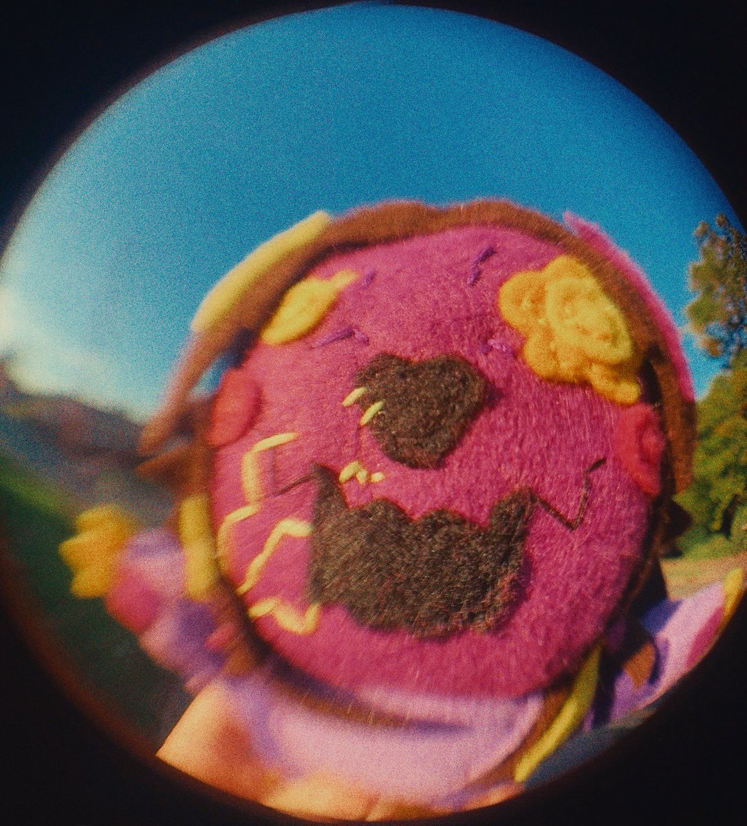 🔮Actually Gator ! 💫 tweet media