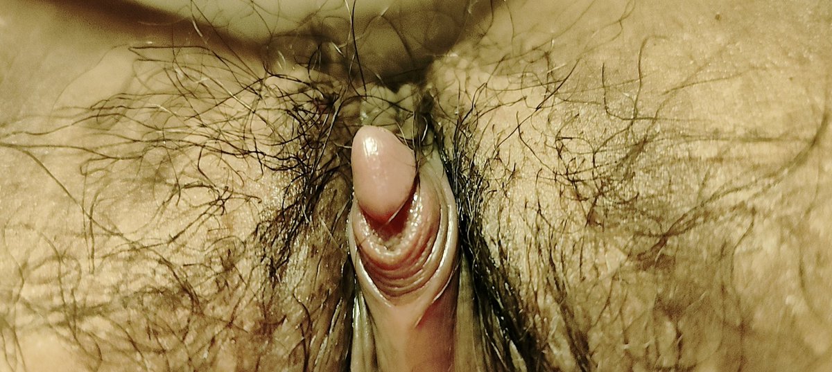 启明星 tweet media