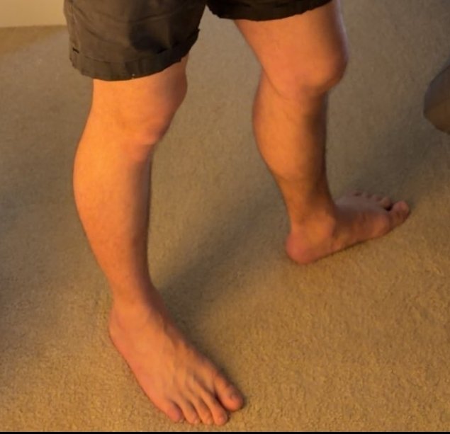 💚🐾Duke Doggo🐾💚 tweet media