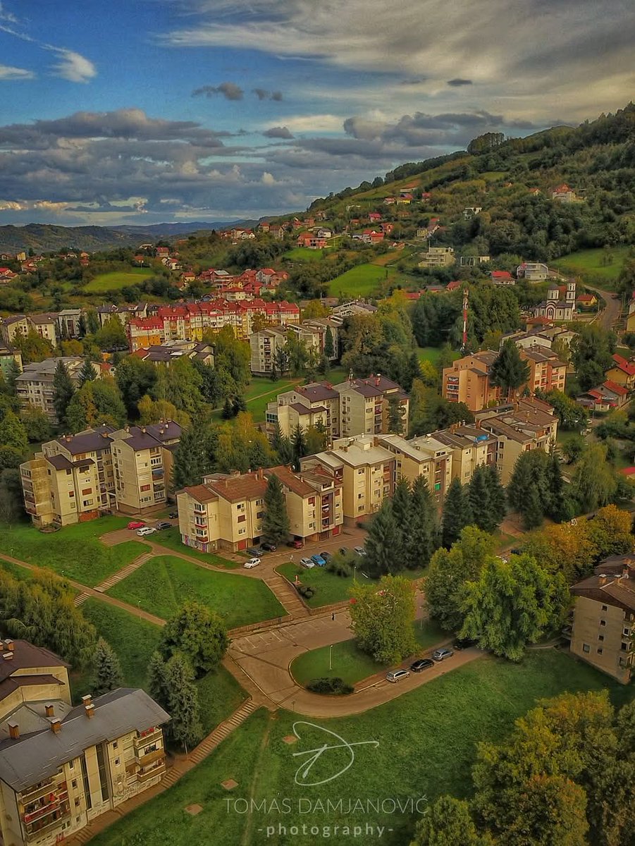 Dragan Risojevic tweet media