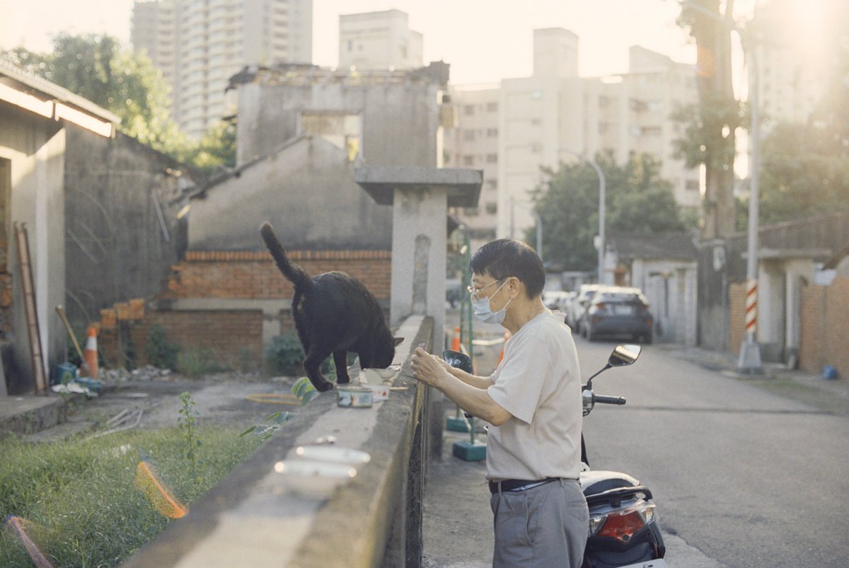 モロイ ユウダイ/ Moroi Yudai tweet media