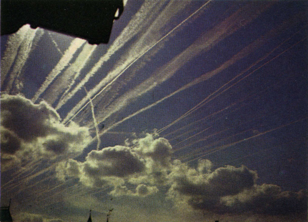 James Mixter tweet media