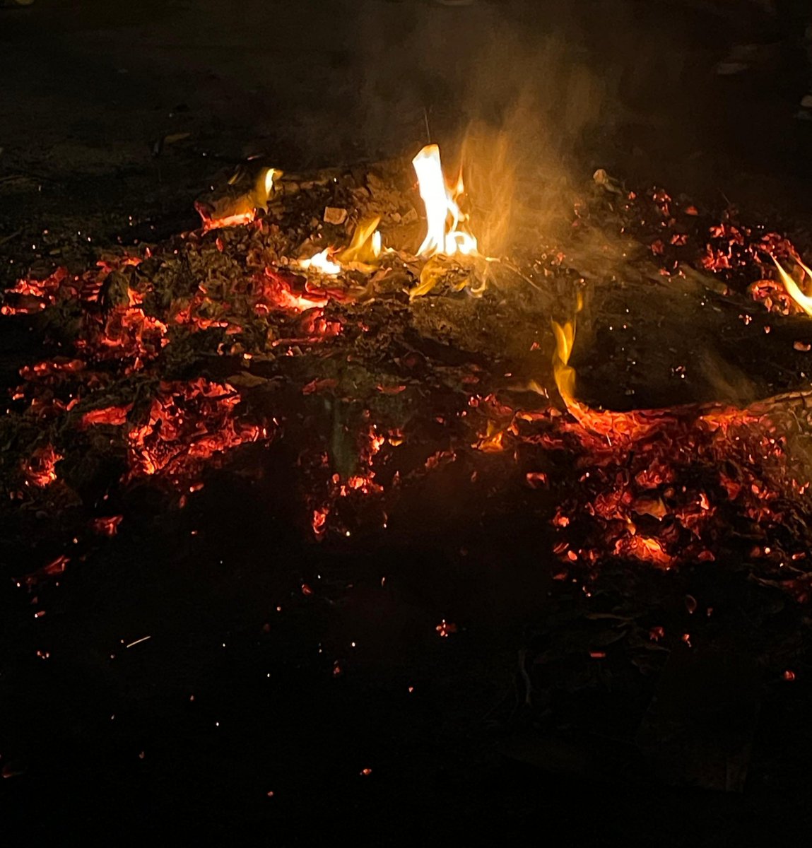 🐦‍🔥 𝒩𝑒𝓇𝒾𝒶 tweet media