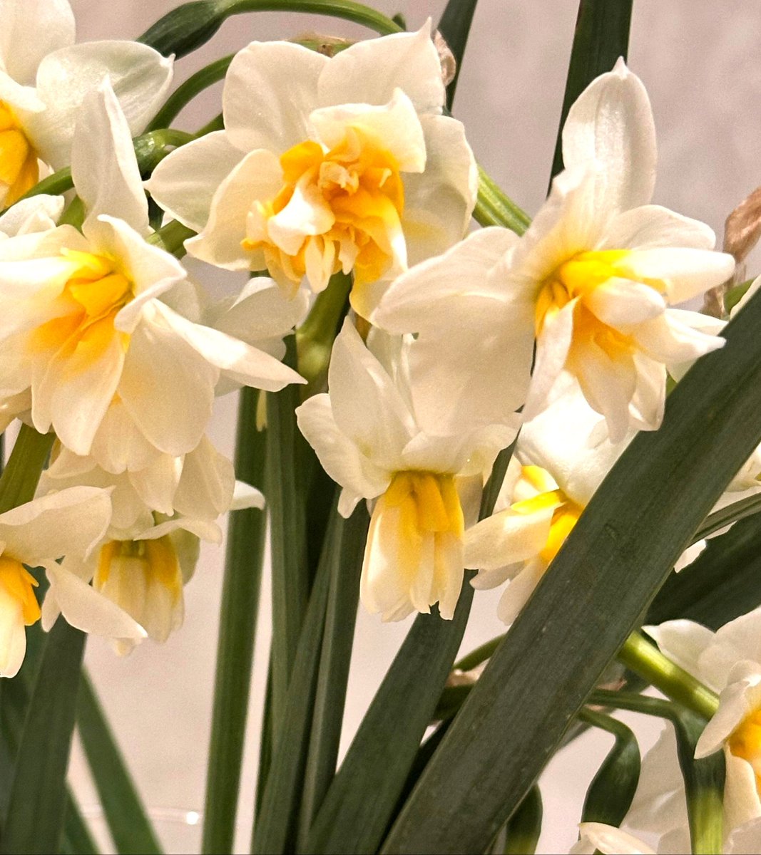 🐦‍🔥 𝒩𝑒𝓇𝒾𝒶 tweet media