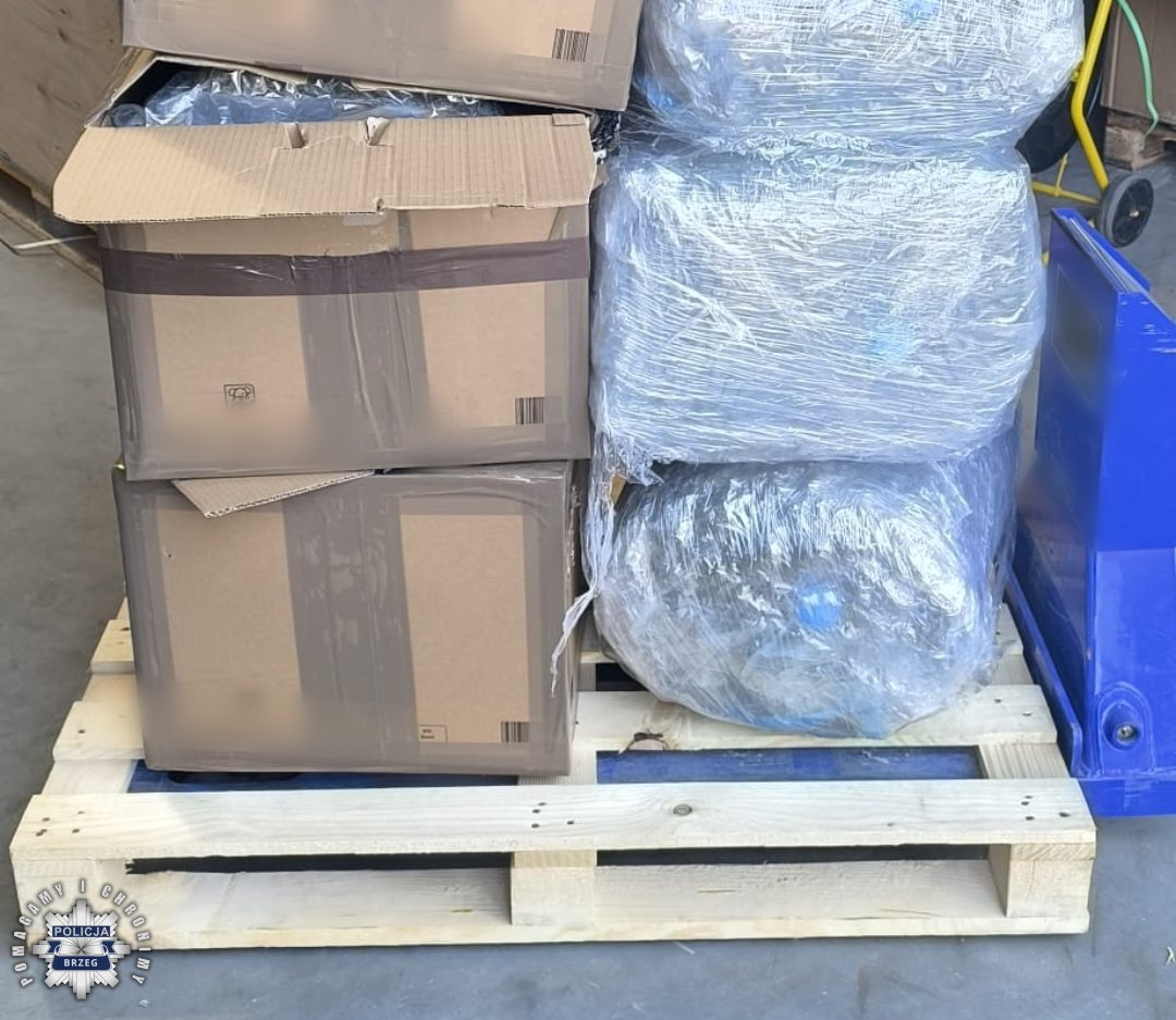 Filiżanka — Польша Новости tweet media