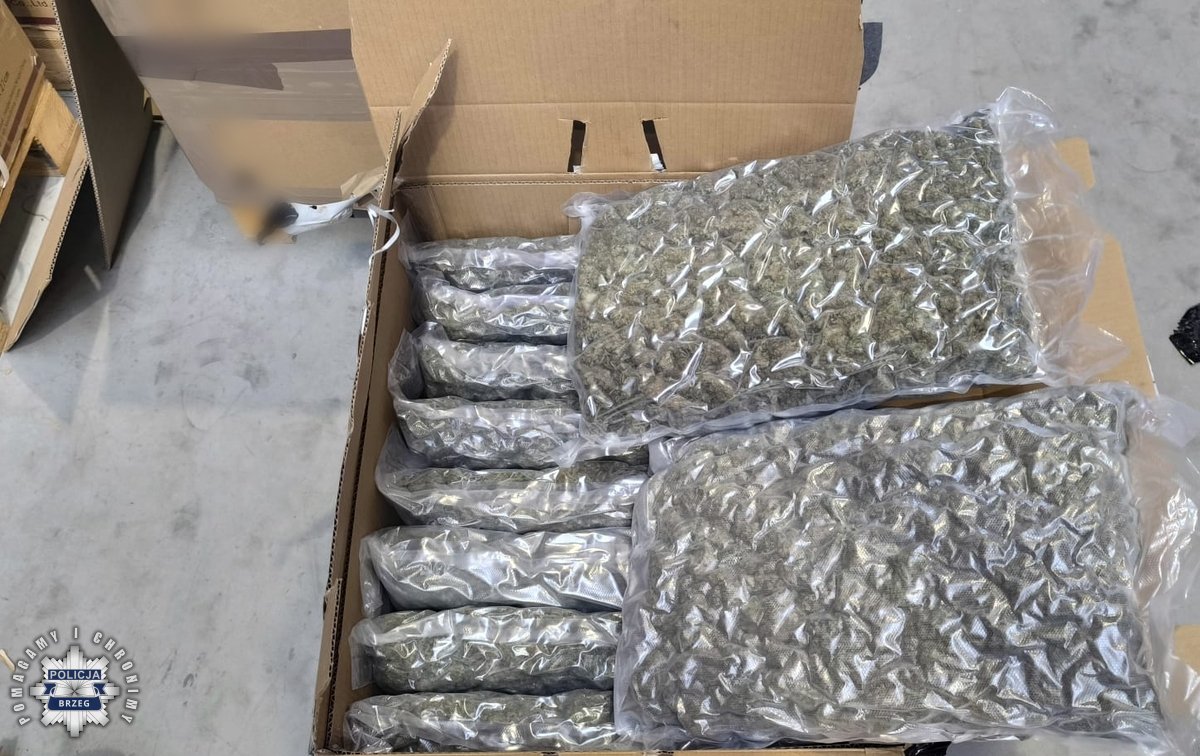 Filiżanka — Польша Новости tweet media