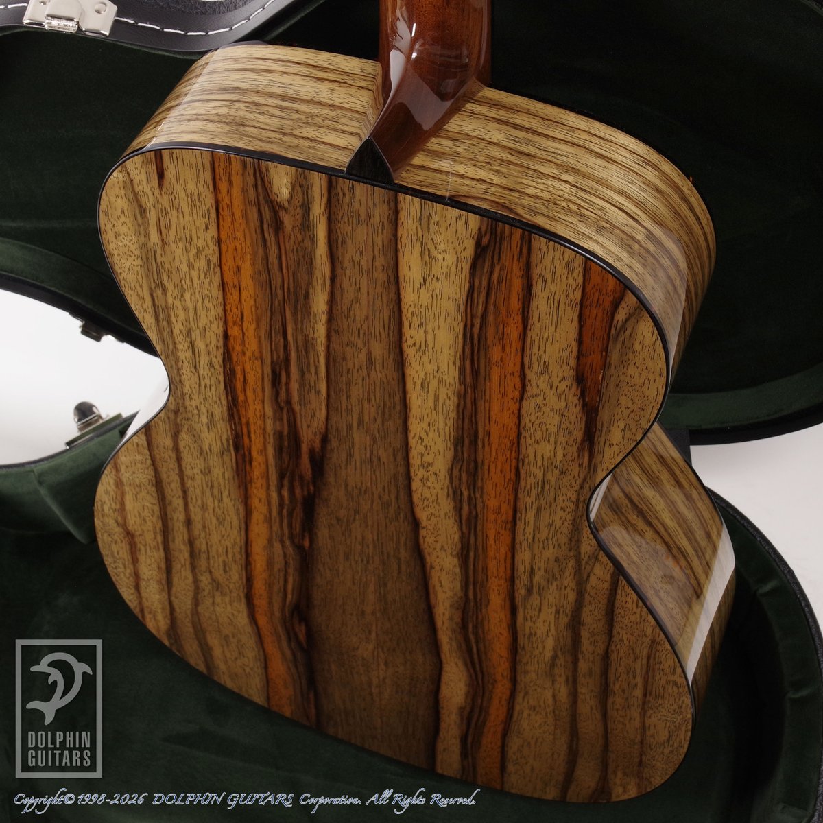 ドルフィンギターズ tweet media