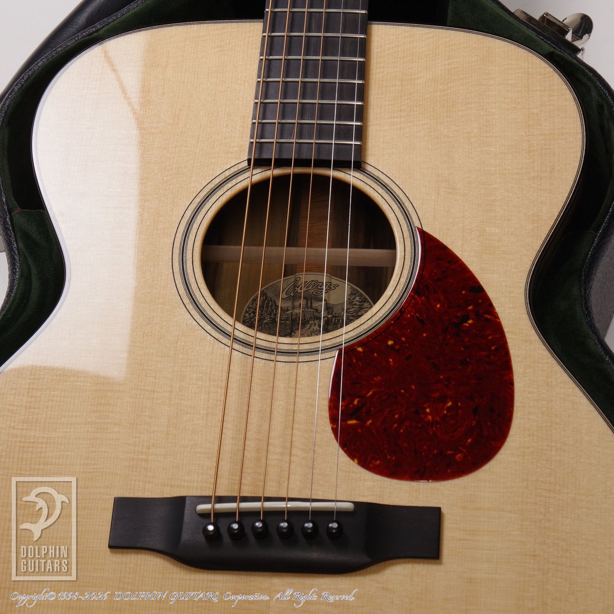 ドルフィンギターズ tweet media