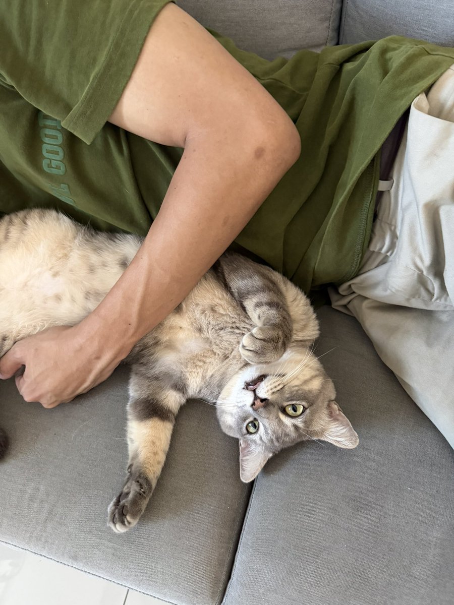 Hentai-san tweet media