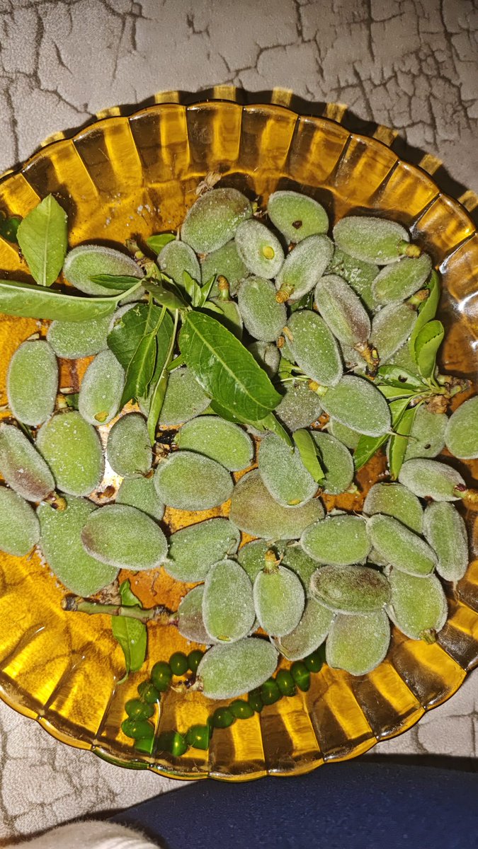 Sukeyna🦫 tweet media