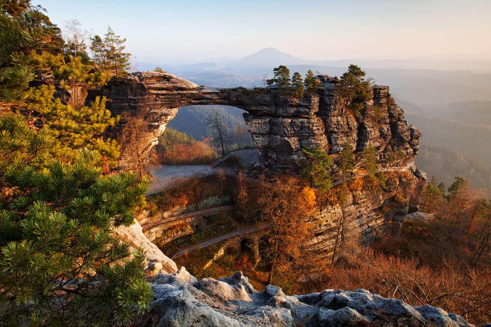 🐑 Sheepo Le Mouton 🐑 tweet media