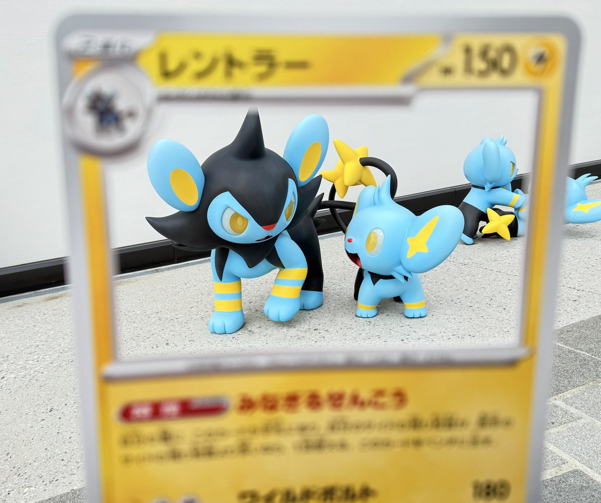 斑雀 tweet media