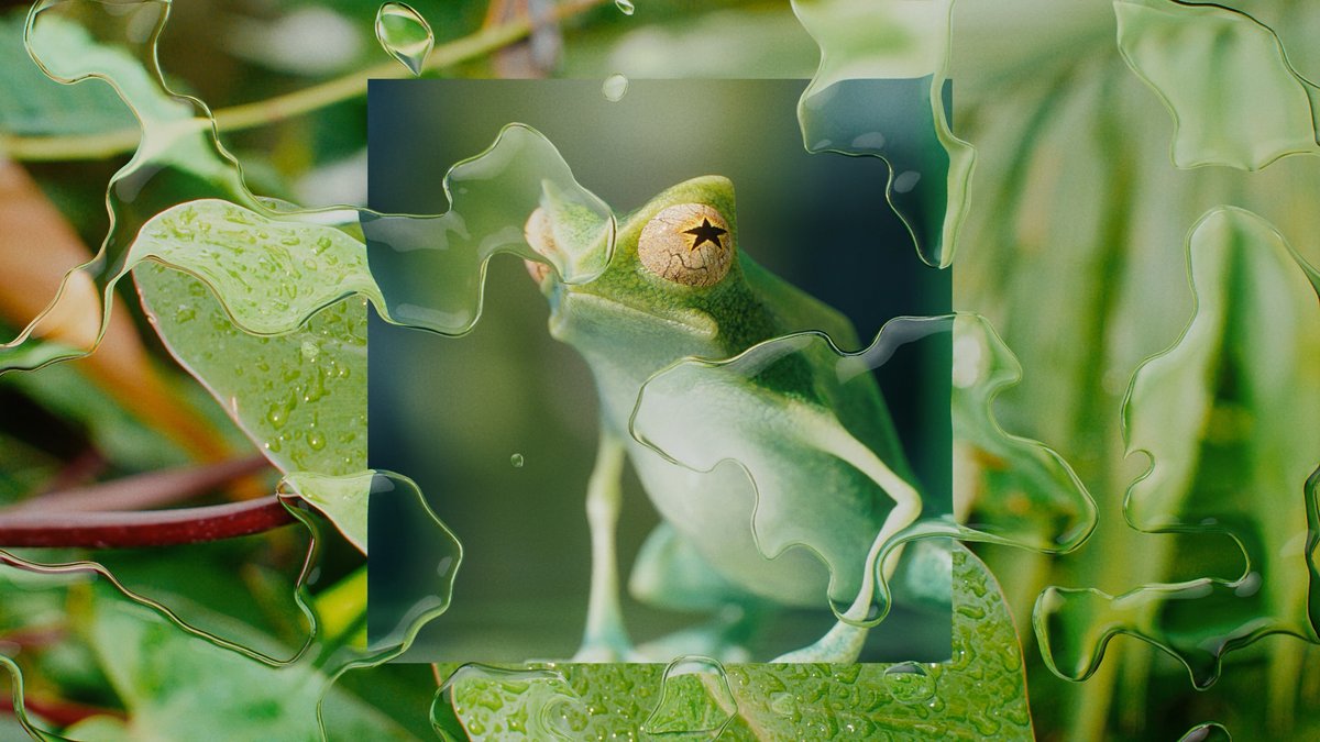 釣部東京 tweet media