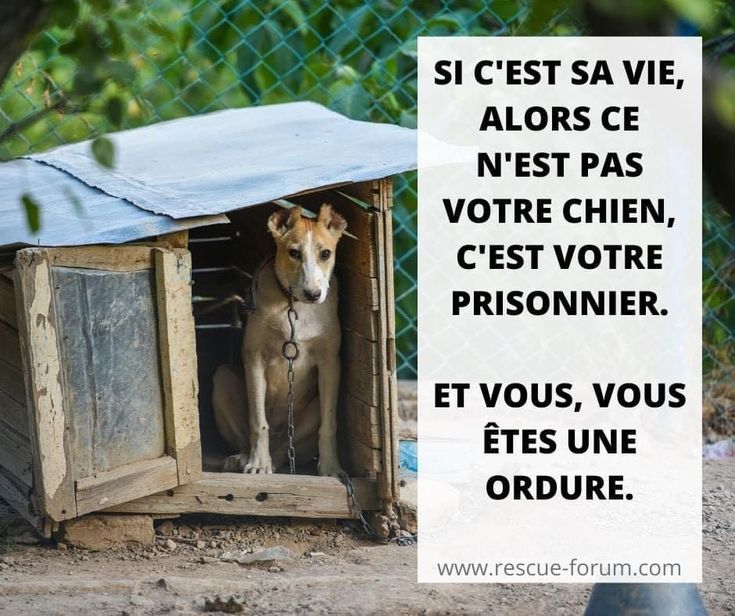 💙🤍❤️Choupie 😸 tweet media