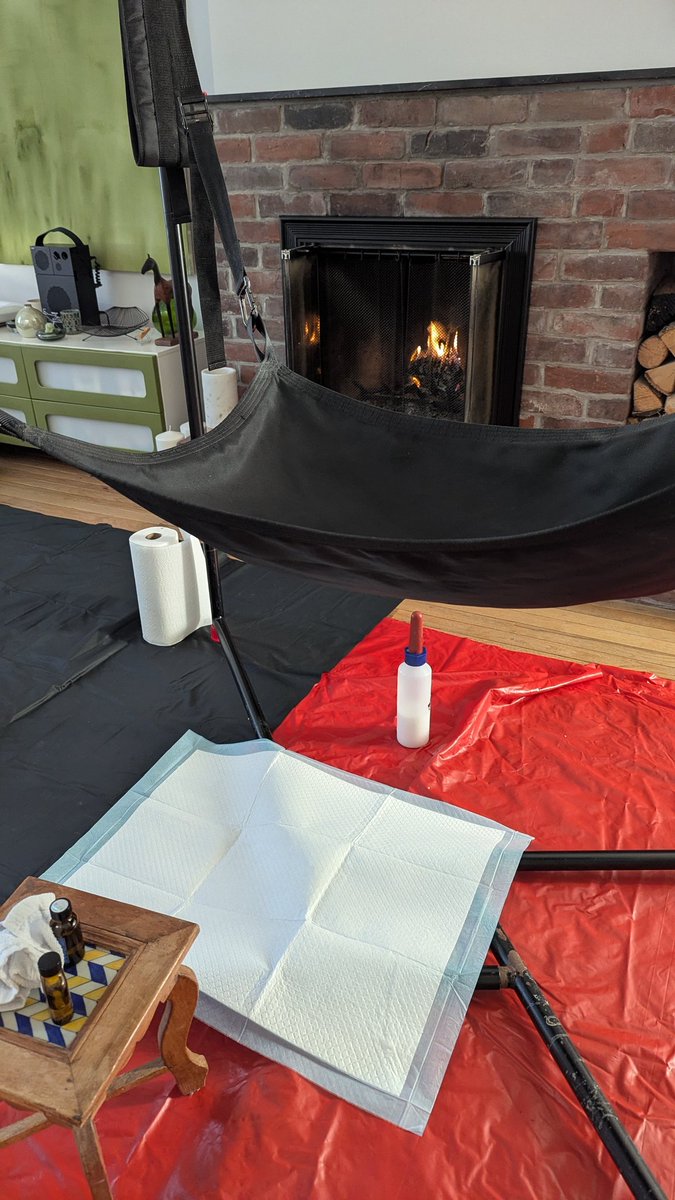 Pup Zeus tweet media