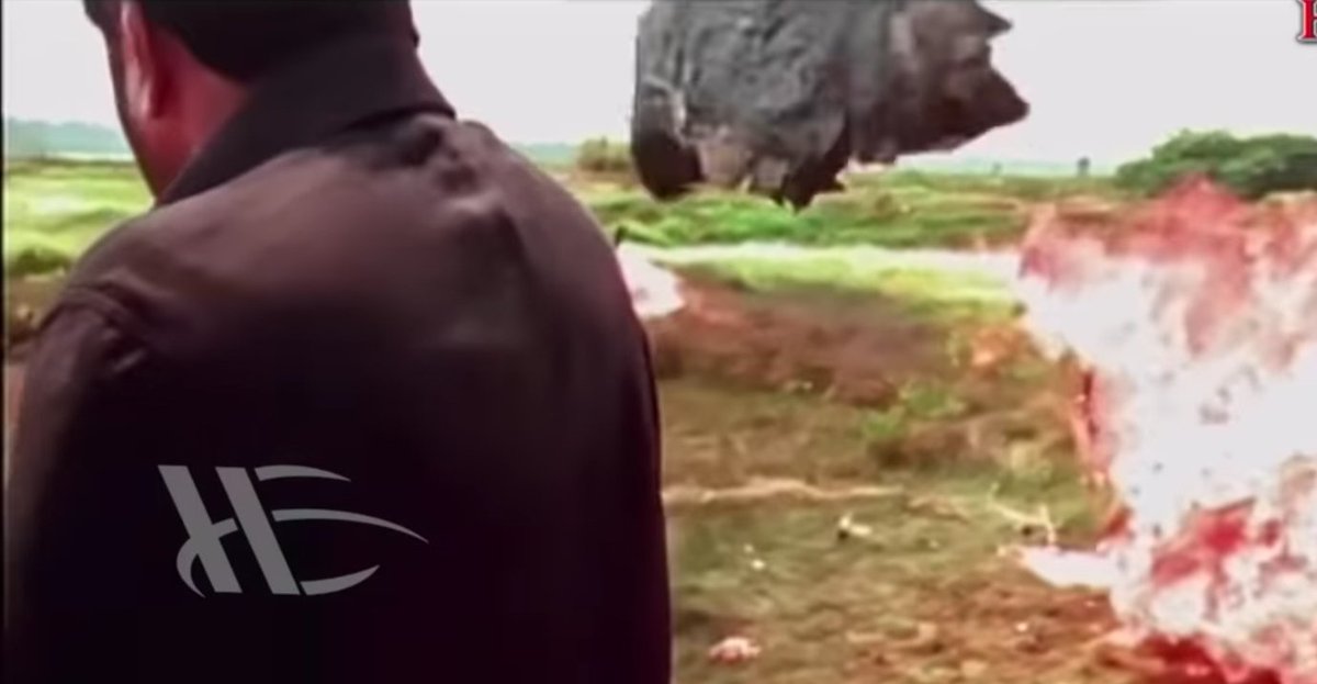 ΔSHШΣΠΓH⏳🦉 tweet media