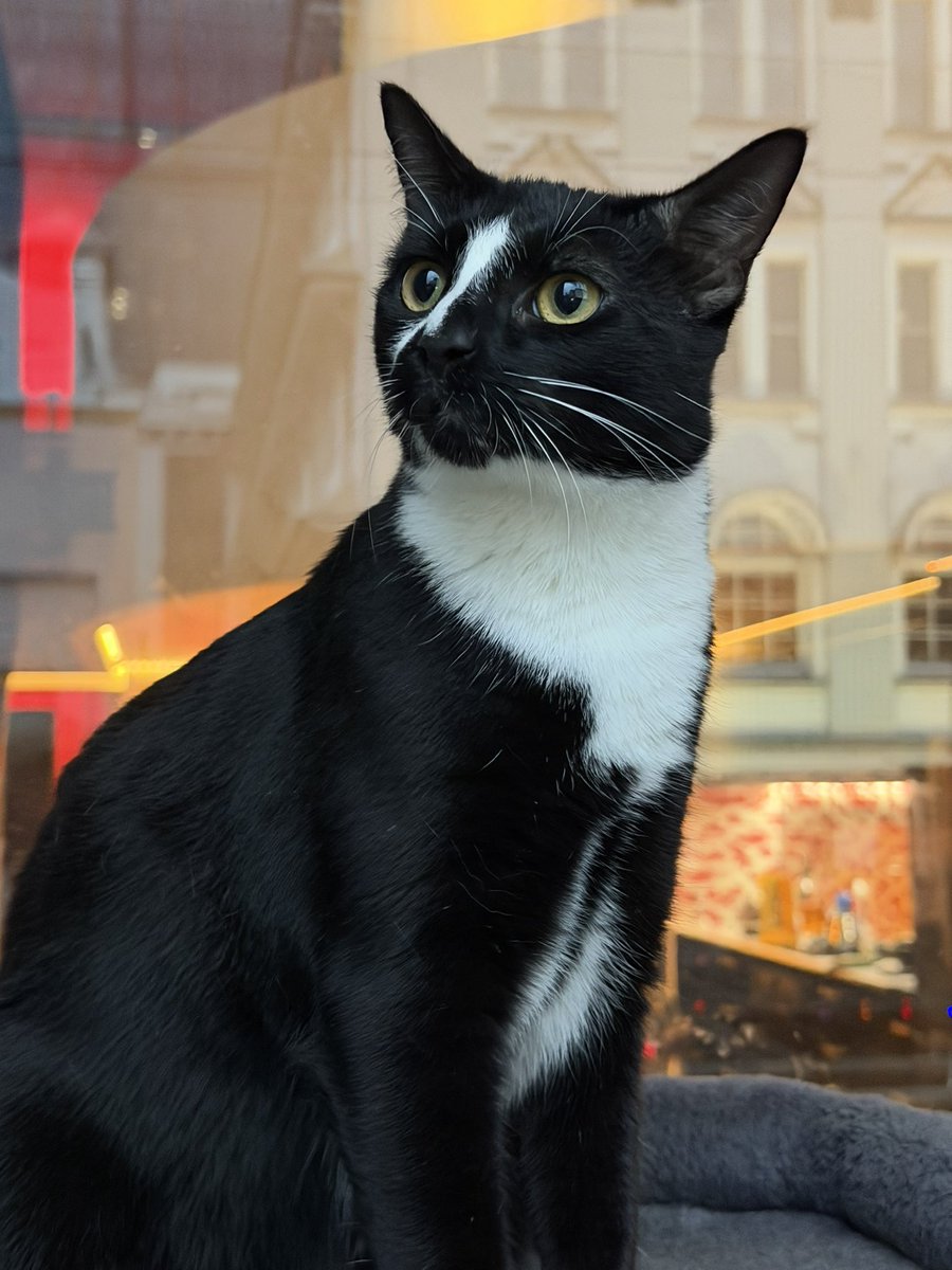 𝘚𝘢𝘮𝘶𝘦𝘭 𝘞𝘢𝘭𝘬𝘦𝘳 tweet media