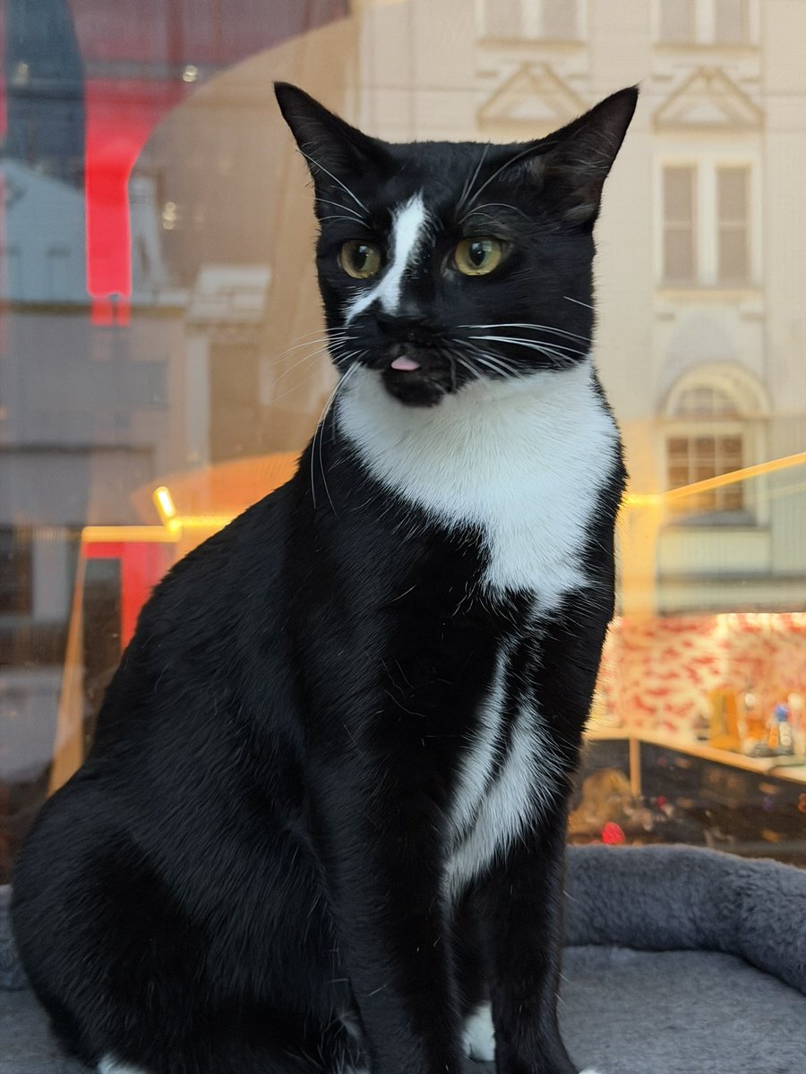 𝘚𝘢𝘮𝘶𝘦𝘭 𝘞𝘢𝘭𝘬𝘦𝘳 tweet media