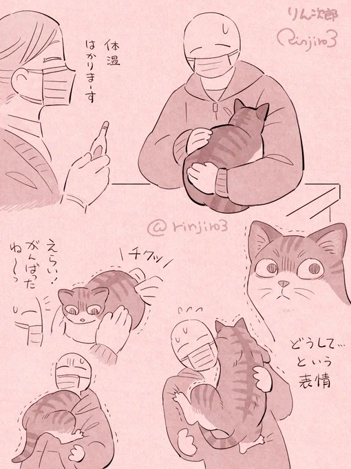 【お日記】予防接種 