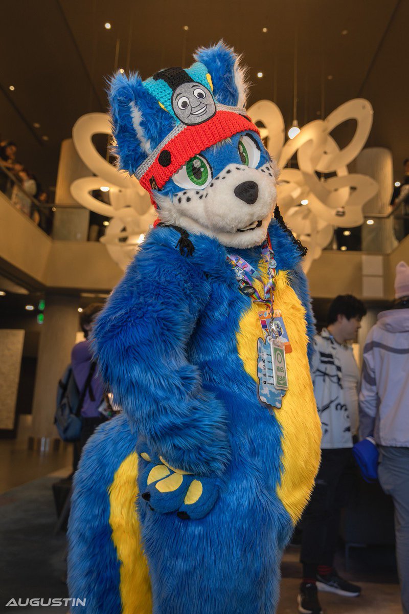 Locomotion The Shy Wolf | 🔜 FurDU 26 tweet media