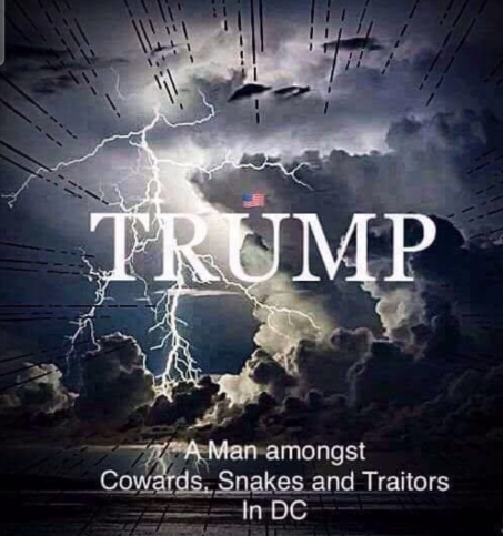 1Estrella Negra tweet media