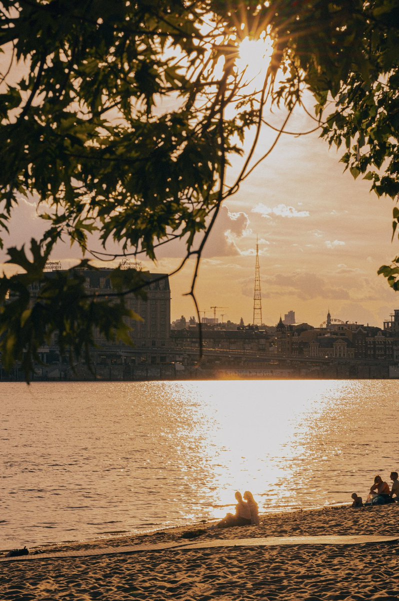 Київська світлярка tweet media