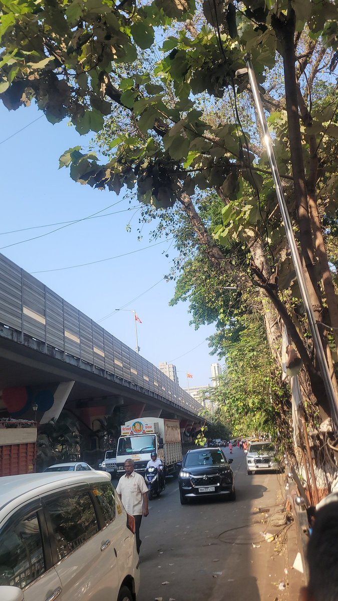 MunnaKaSwamiBola.. tweet media