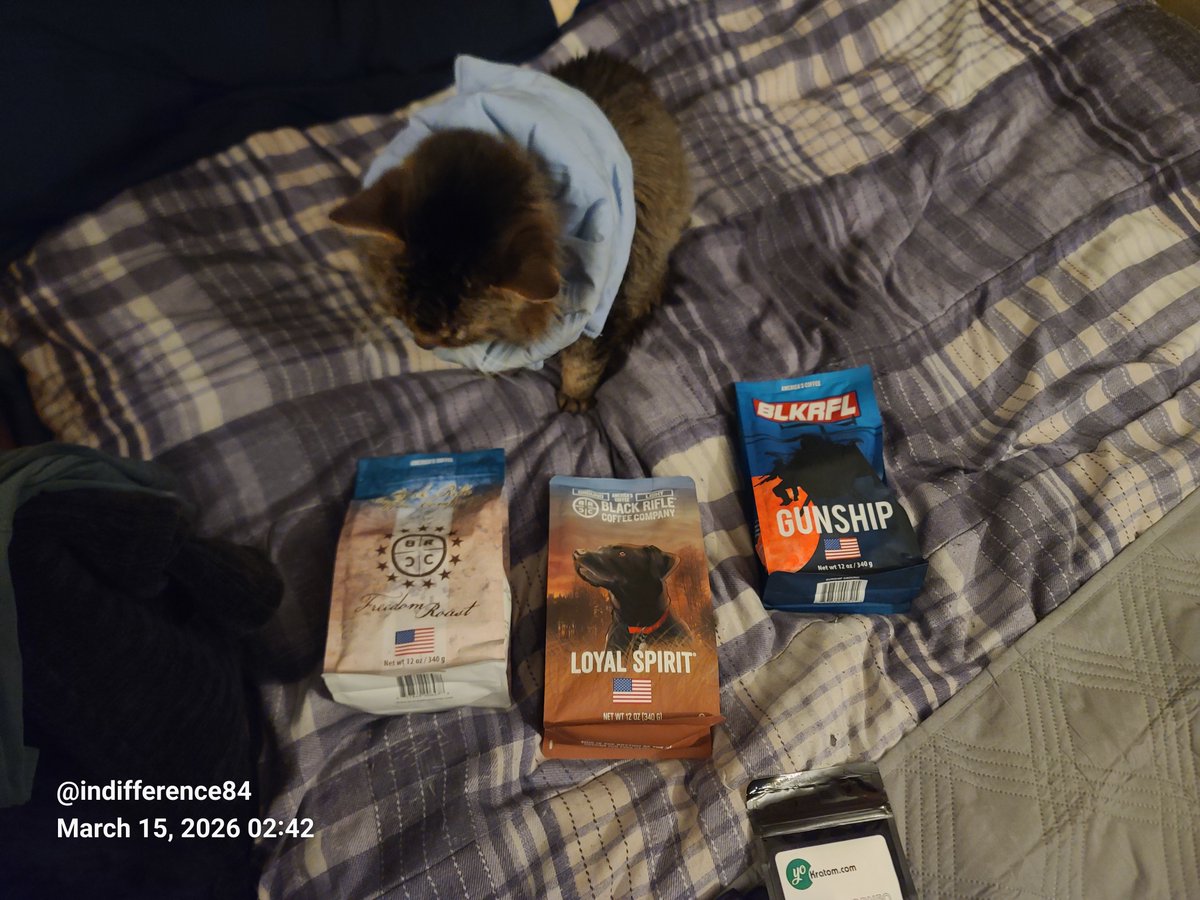 .the.great.below.. tweet media