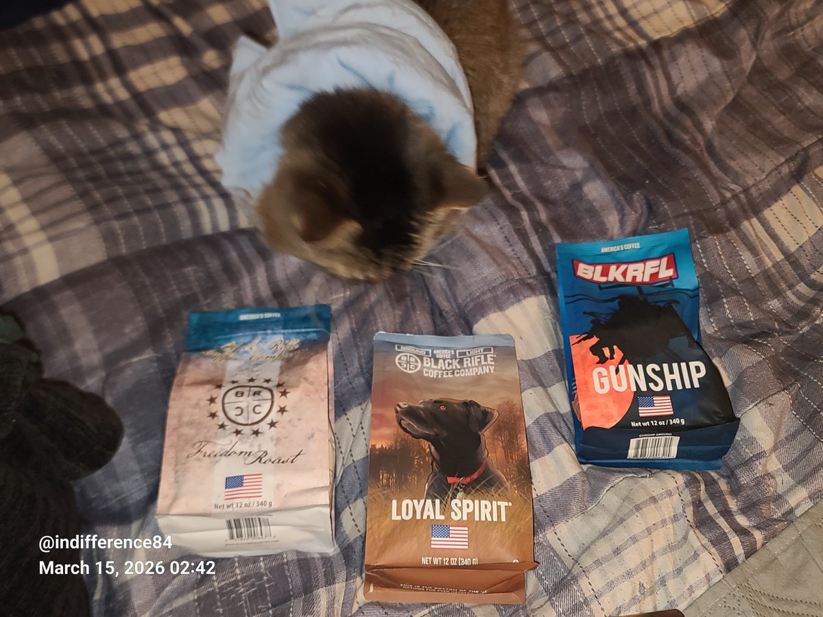 .the.great.below.. tweet media