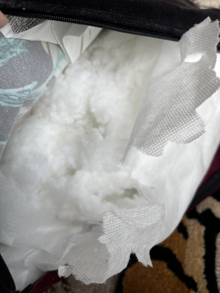 👑千秋🍓☠️ tweet media