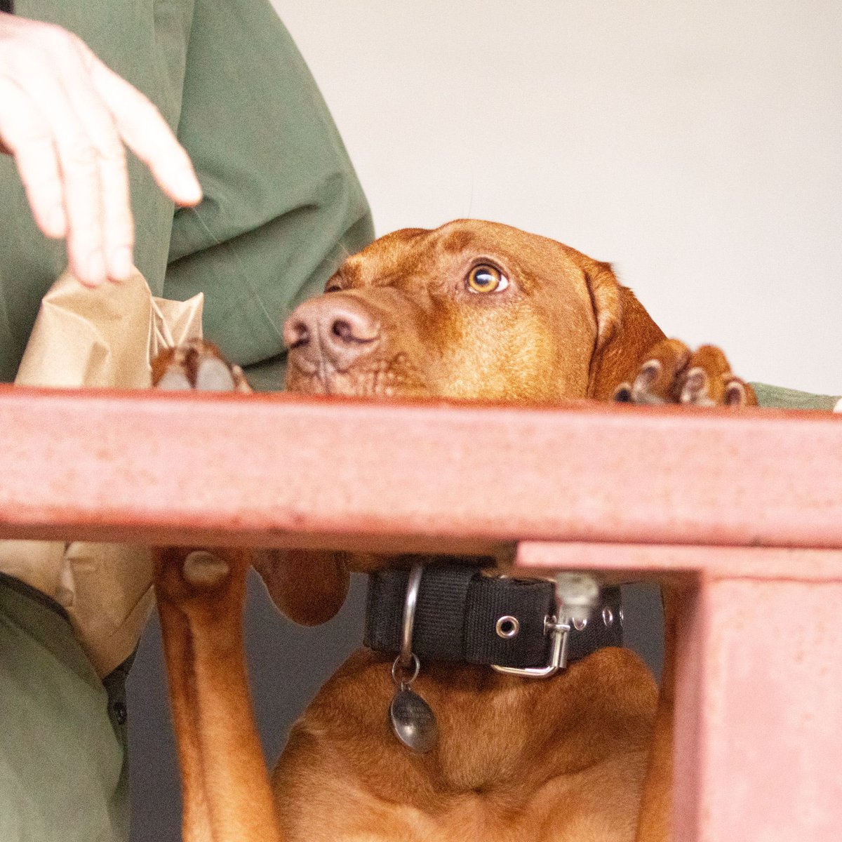 Hampton & Richmond Borough FC tweet media