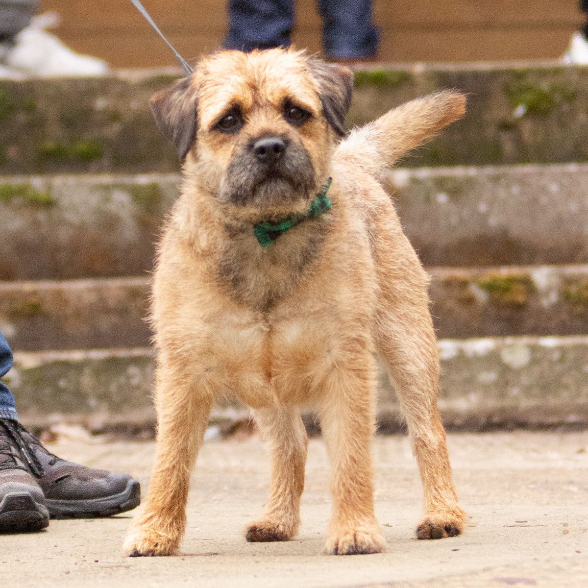 Hampton & Richmond Borough FC tweet media