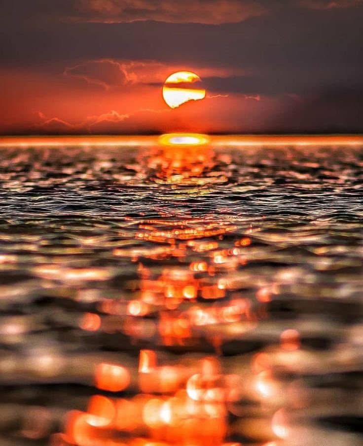 The 13th Disciple tweet media